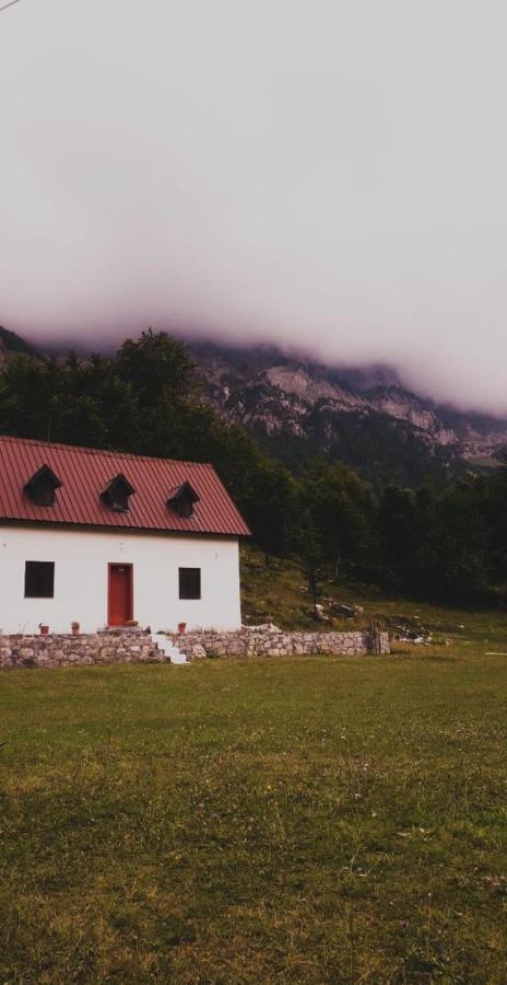 Guesthouse Freskia Theth Eksteriør billede