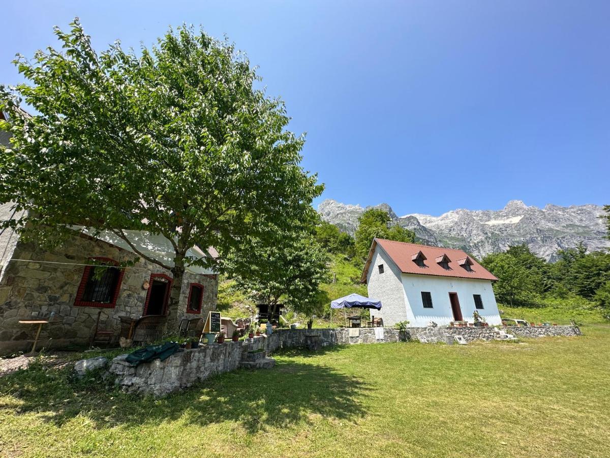 Guesthouse Freskia Theth Eksteriør billede